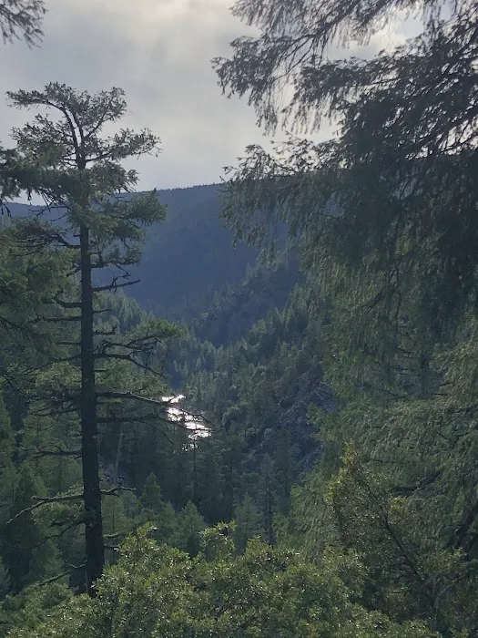 Redbridge Campground Picture 6