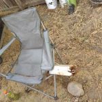 Almond Grove Mobile Home & RV Park