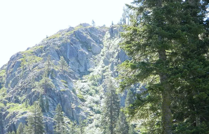 Ross Campground Picture 3