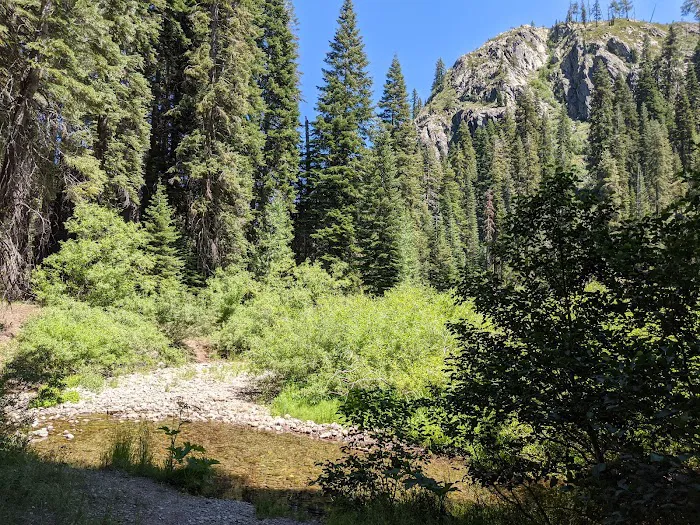 Ross Campground Picture 4