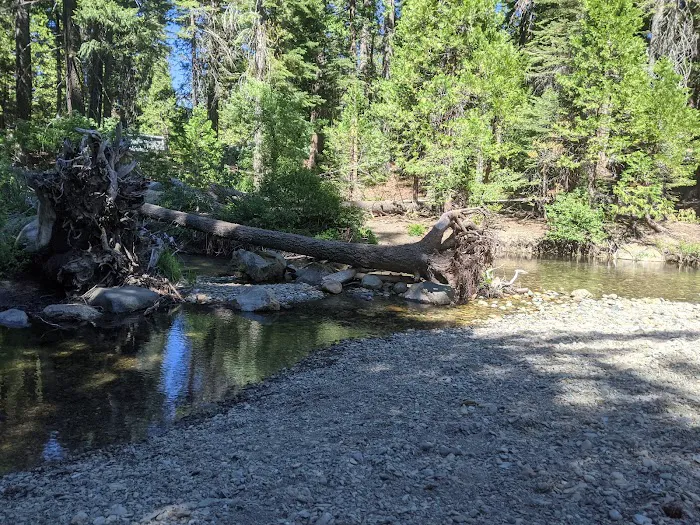 Upper Jamison Campground Picture 2