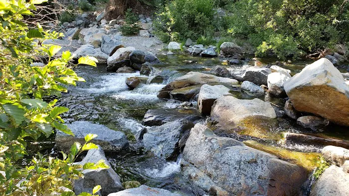 Upper Jamison Campground Picture 6