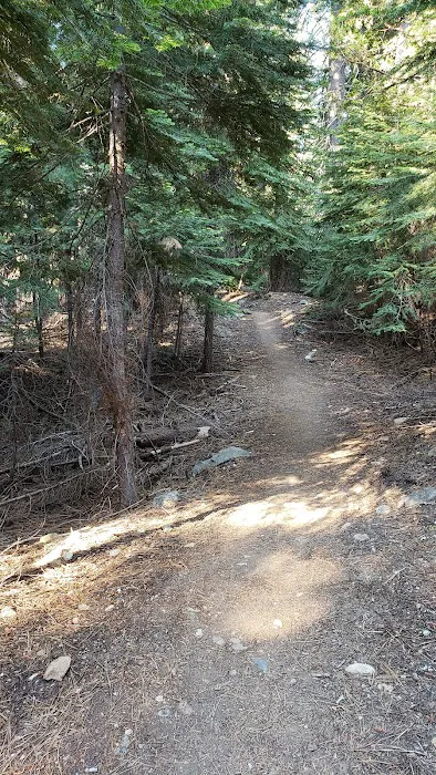 Upper Jamison Campground Picture 9