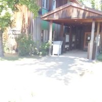Forestry Department ico