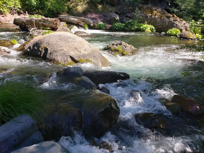 Potato Patch Campground Picture 4