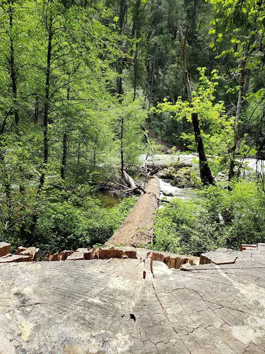 Potato Patch Campground Picture 10