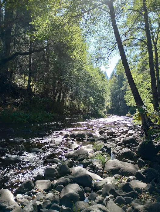 Potato Patch Campground Picture 6