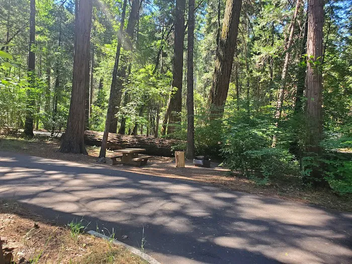 Potato Patch Campground Picture 2