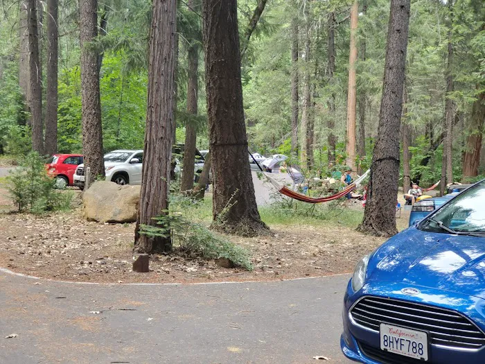 Potato Patch Campground Picture 5