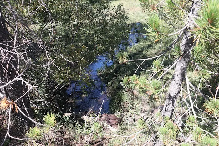 Little Grizzly Campground Picture 6