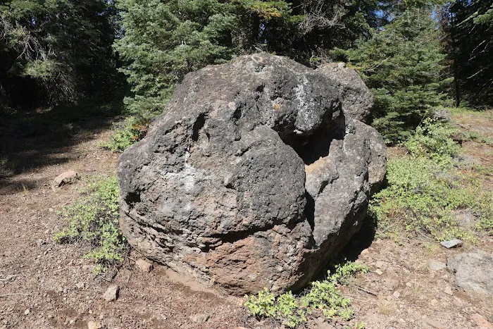 Little Grizzly Campground Picture 9
