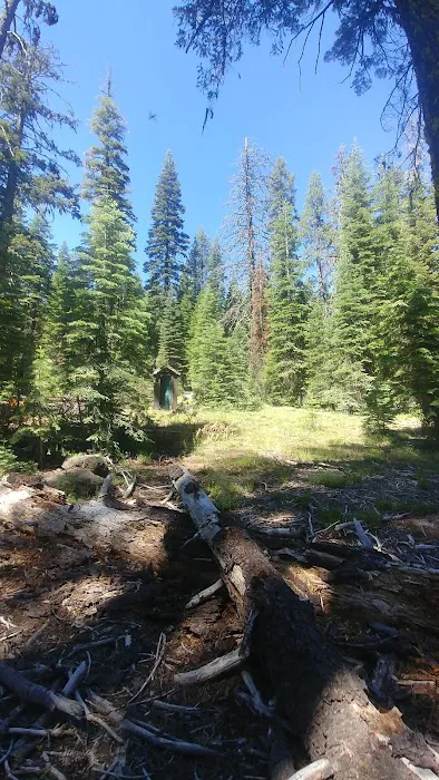 Little Grizzly Campground Picture 2