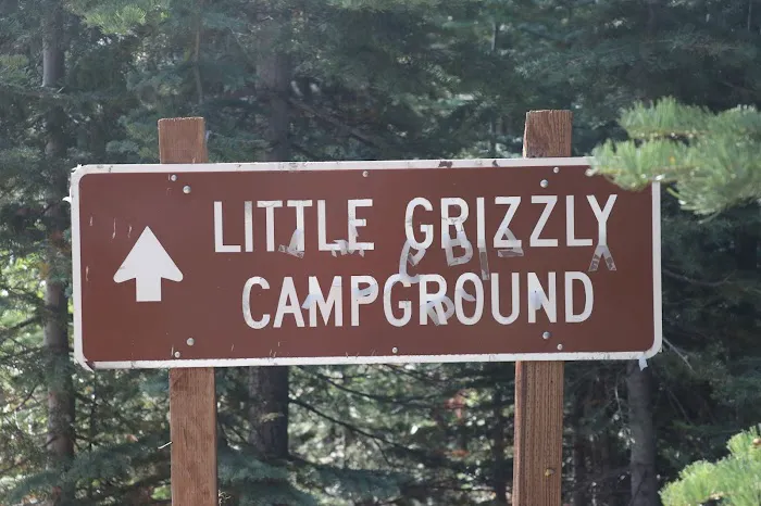 Little Grizzly Campground Picture 1