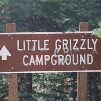 Little Grizzly Campground ico