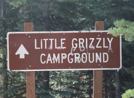 Little Grizzly Campground