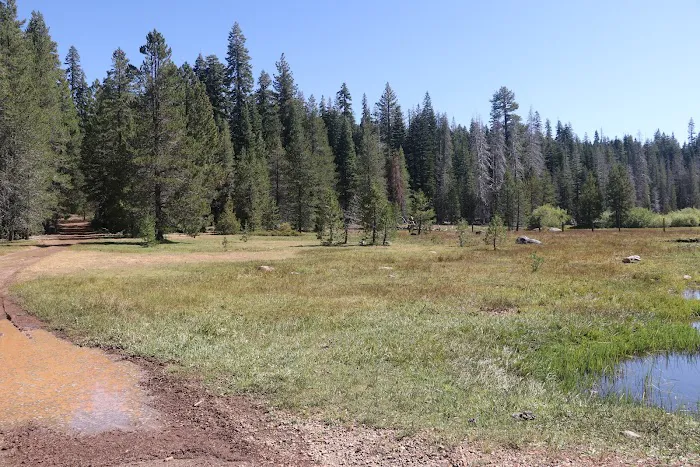 Little Grizzly Campground Picture 4