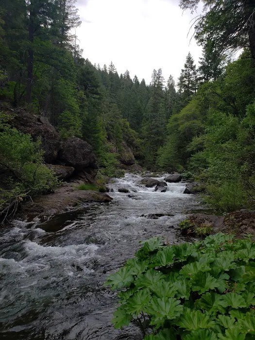 Alder Creek Campground Picture 8