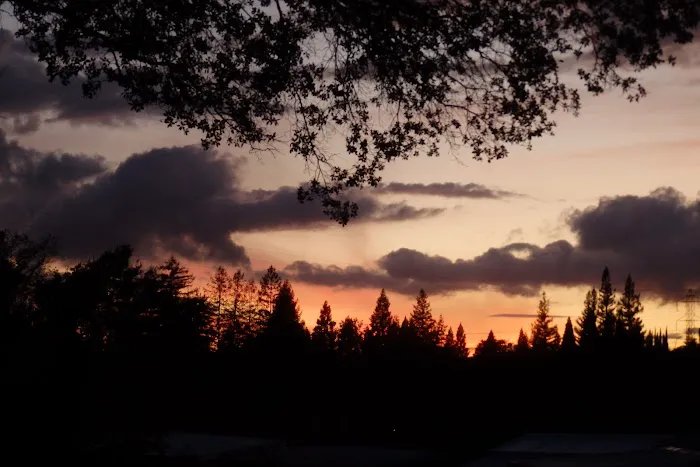 Pinebrook Village Picture 2