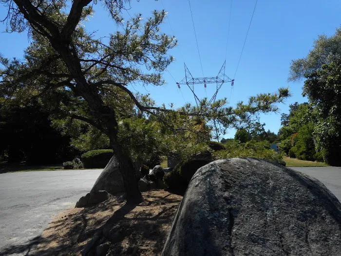 Pinebrook Village Picture 8