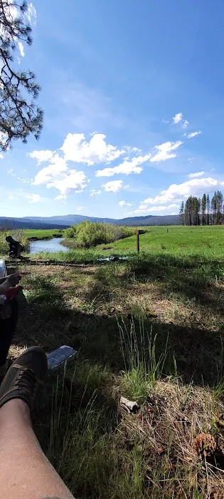 Yellow Creek Campground Picture 2