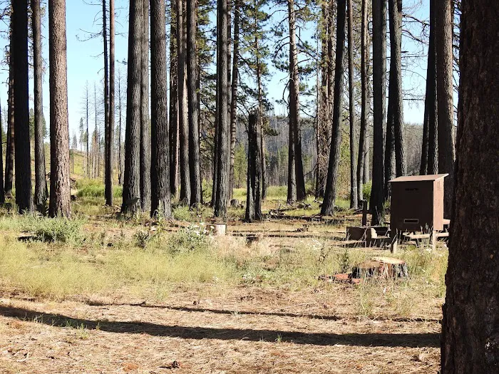 Yellow Creek Campground Picture 1