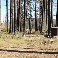 Yellow Creek Campground ico