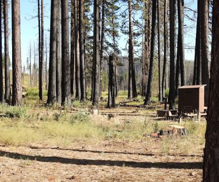 Yellow Creek Campground
