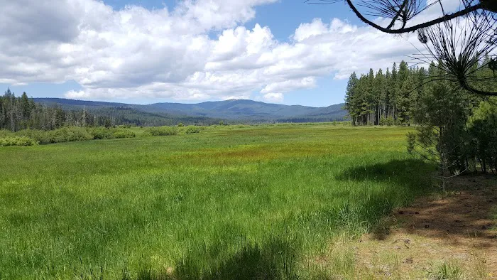 Yellow Creek Campground Picture 6