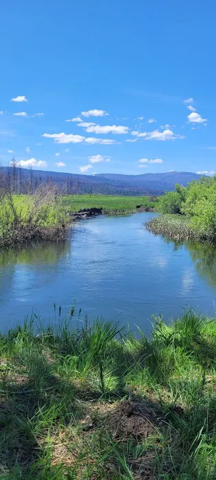 Yellow Creek Campground Picture 3