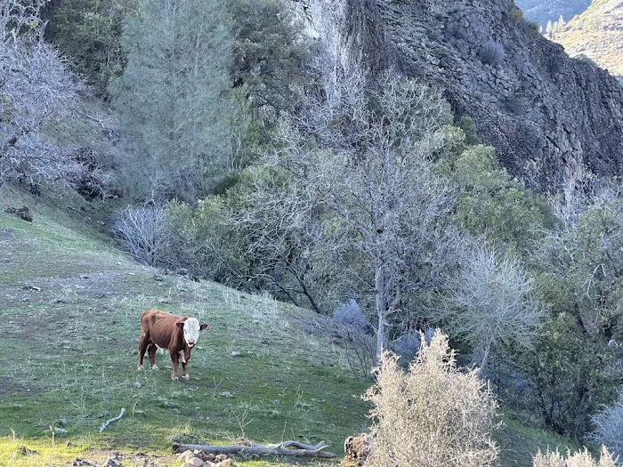 Black Rock Campground Picture 7