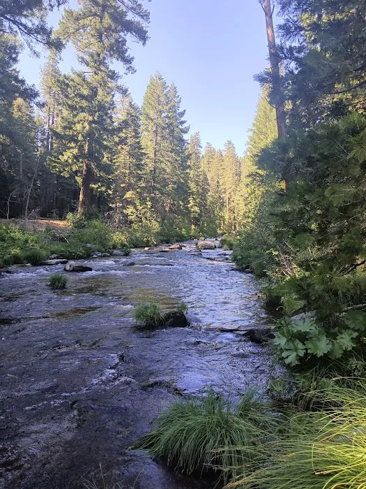 Elam Campground Picture 1