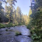 Elam Campground