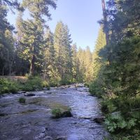 Elam Campground ico
