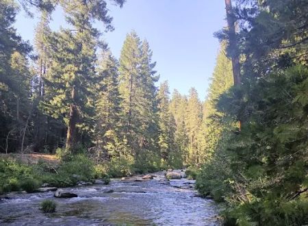 Elam Campground