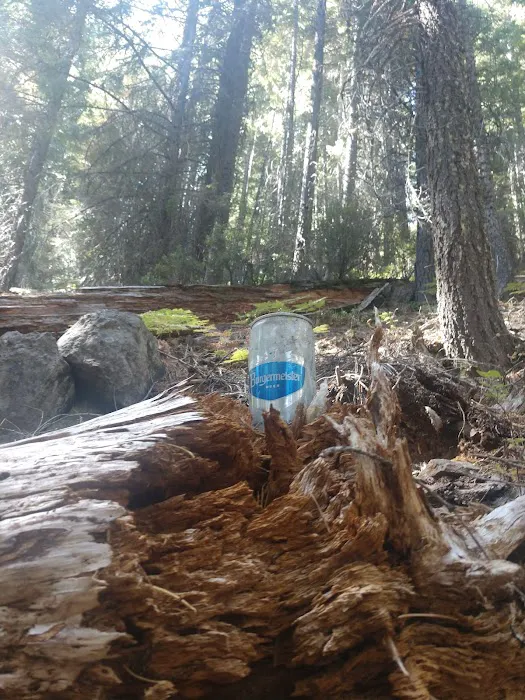 Elam Campground Picture 4