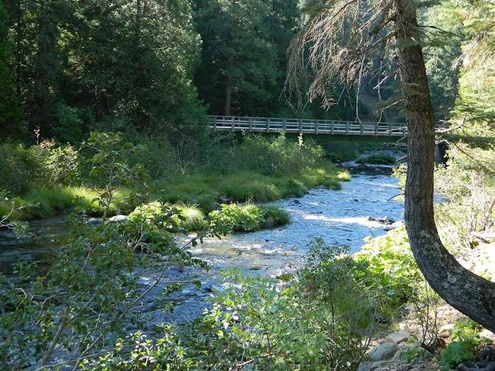 Elam Campground Picture 10