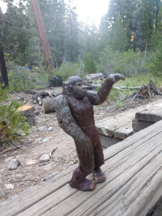 Elam Campground Picture 3