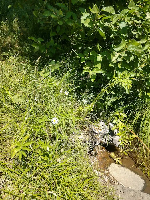 Hole-in-the-Ground Campground Picture 6