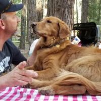Hole-in-the-Ground Campground ico