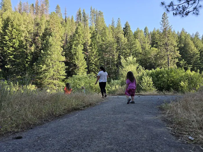 Hallsted Campground Picture 6