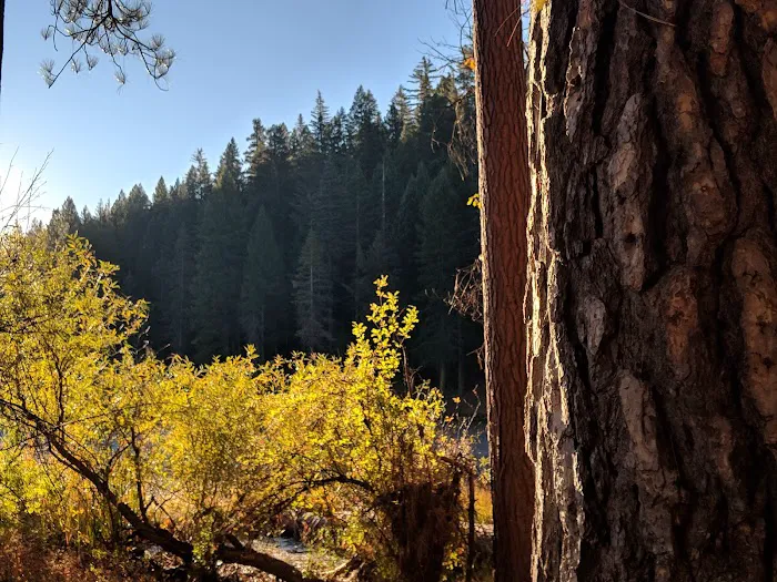 Snake Lake Campground Picture 4