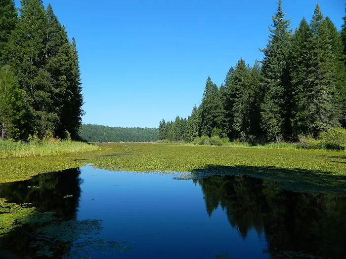 Snake Lake Campground Picture 2