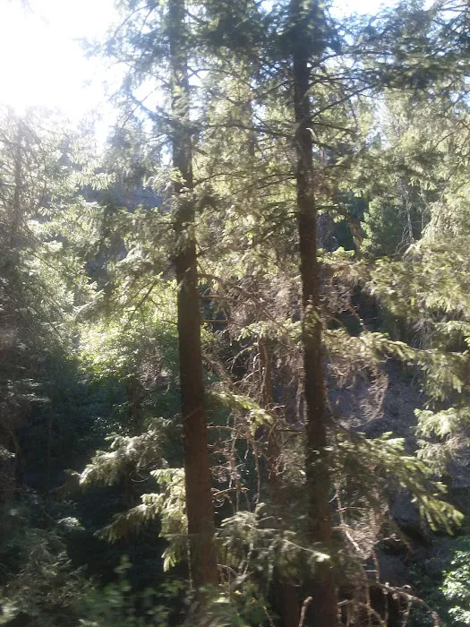 Snake Lake Campground Picture 5