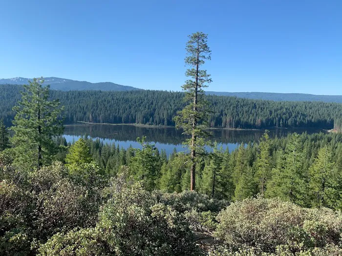 Snake Lake Campground Picture 7