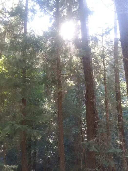 Snake Lake Campground Picture 6