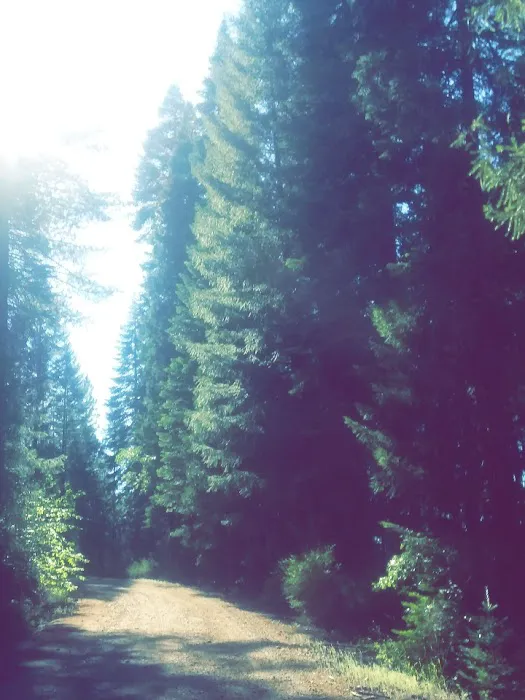 Snake Lake Campground Picture 10