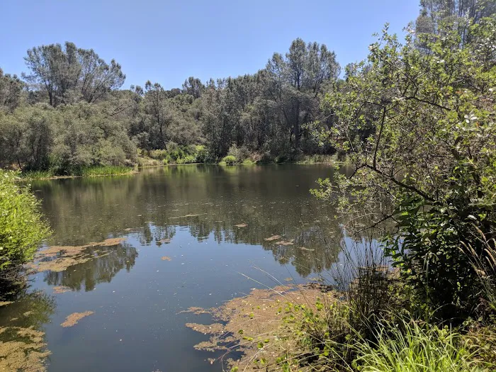 Sierra Lakes Mobile Home Park Picture 7