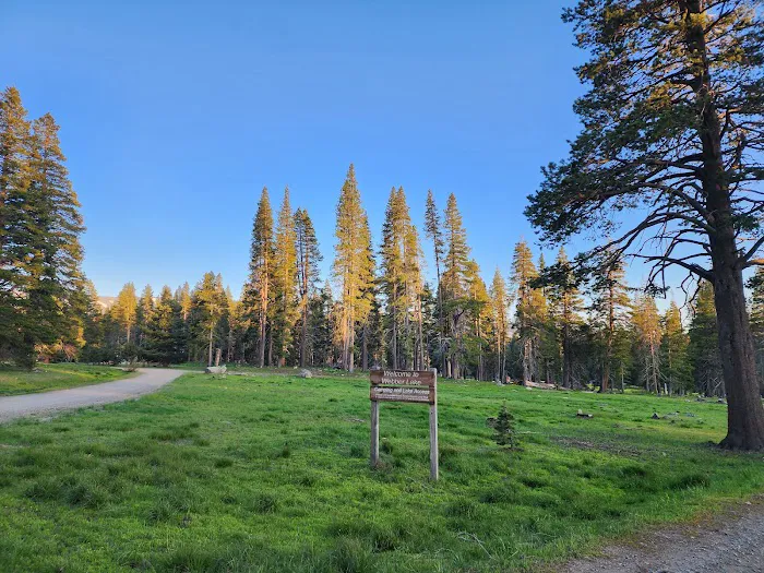 Webber Lake Campground Picture 1