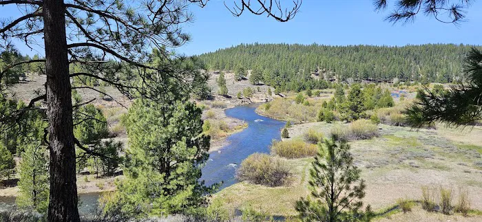 Lake of the Woods Campground Picture 8
