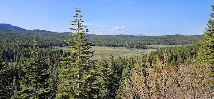 Lake of the Woods Campground Picture 2